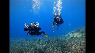 SSI OWD Recreational Dive. What weve seen this weekend? Triton Dive Center Seferihisar/İzmir Turkiye