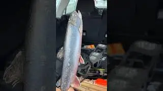 Maine Winters are no joke!                              #icefishing #funny #fishing #maine
