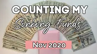 SINKING FUNDS UPDATE | November 2020 Budget | Cash Envelope System | Counting my Sinking Funds