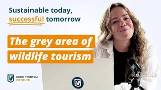 The grey area of wildlife tourism 😬 (S2E9 - Sustainable Today, Successful Tomorrow)