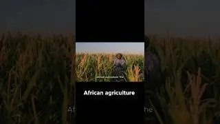 Can Africa Save Global Food Security?
