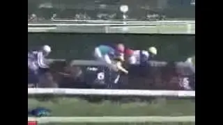 2013.09.29 Sprinters Stakes - Lord Kanaloa