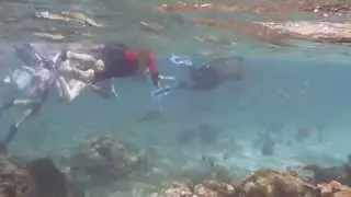 Belize, Hol Chan Marine Preserve. Морской заповедник Хол Чен, Белиз (1943sp)