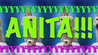HAPPY BIRTHDAY ANITA! - EPIC Happy Birthday Song
