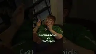 Cannabinoids vs Terpenes 101: Same THC % &ne; same high. This is Cannabis 101.#Cannabis #Terpenes #THC