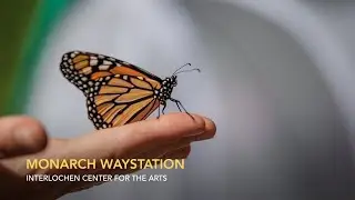 Monarch Waystation