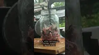 DIY AMINO ACID #farm #lifehacks #life #organic #shorts #chicken #nature #gardening #natural #fish