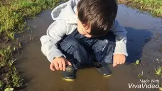 Life on the Farm