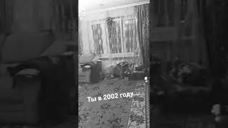 2002 год