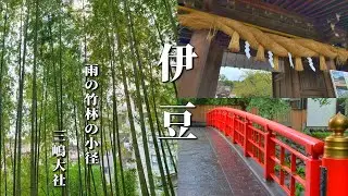 雨の修善寺・竹林の小径を歩く＃情緒ある風景#修禅寺＃三嶋大社＃鹿＃Sightseeing in Shizuoka＃Shuzenji＃Bamboo forest＃Chikurin