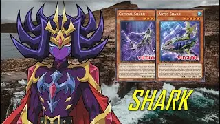 [NEW] Ultimate power | SHARK deck Nov.2021 | Post Duelist of the Abyss