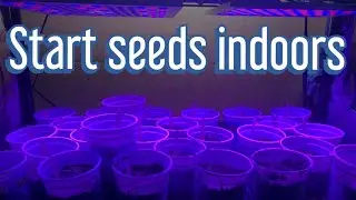 Starting Seeds Indoors with  LED Grow Lights
