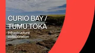 Curio Bay Tumu Toka Collaboration