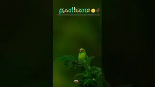 💔 Broken Heart Love Feeling | Tamil Sad Lyrics | Heart Touching Shorts