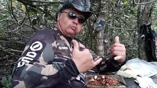 Ilha dos estilingueiros