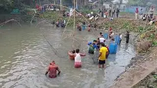 Village Traditional Fishing Competition | New Technique Big Fishing Videos Real Fish Catch