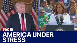 Managing election anxiety as candidates head into final days | FOX 13 Seattle