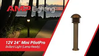 AMP&reg; 12V 24