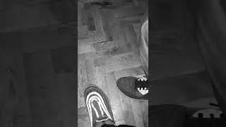Dzoni stlt freestyle