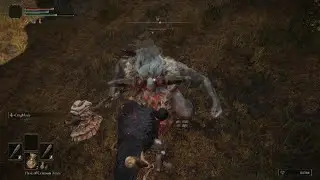 Elden Ring RL1 | +0 Weapons | No Flask Upgrades | Erdtree Avatar [2]