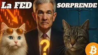 🔴 Expectativa Total: Bitcoin, Altcoins y el recorte de tipos en la mira! #536