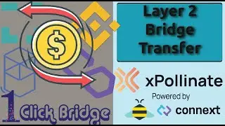 Transfer Funds From Polygon, BSC, FTM, Gnosis, Avalanche, Moonbeam W/ Xpollinate | Cheap Tx | 2021