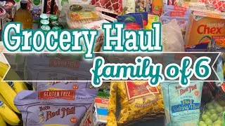Large Family Grocery Haul // Family of Six // *STARSofJEWELS*