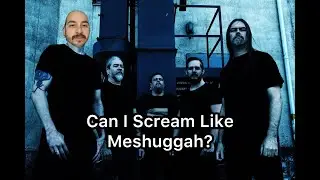 Scream Like Meshuggah?