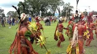 Goroka Show