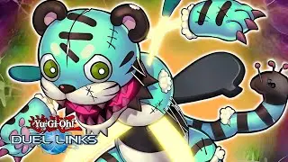 NOVA ENGINE E SKILL DEIXARAM ESSE DECK MUITO BOM! - FLUFFAL [Yu-Gi-Oh Duel Links]