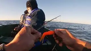 60 year old Vermillion Rock fish! Santa Cruz Boat Rental