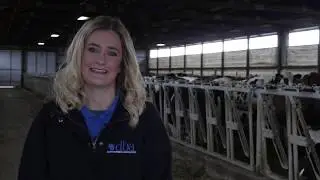 How does the Dairy Business Association support its members?