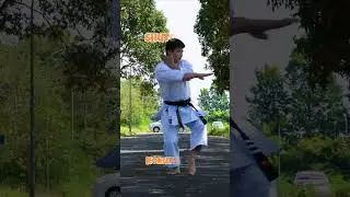 Heian Shodan WAZA 1  #karate #quanghaindk #martialarts #quanghai #kata  #shortvideo #shorts