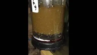 Two Little Fishies Phosban Reactor 150 Flow