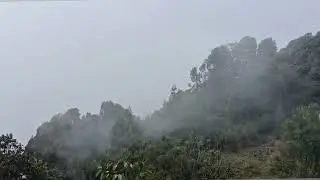 Kodaikanal Family Trip | Pillar Rock Covered in Clouds ☁️@A2Jvibezz 