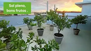 ÚLTIMO VÍDEO DO ANO E ELAS ESTÃO CARREGADAS.