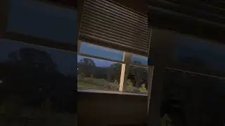 Sirens Going Off Canton, Texas - Tornado Watch