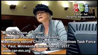 Molly K Olson testimony opposing Minnesota child support task force on December 20, 2017