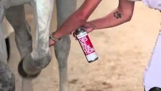 EQUUSIR BIONIC-CARE