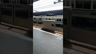 Odakyū line passing Gotokuji #train #odakyuline