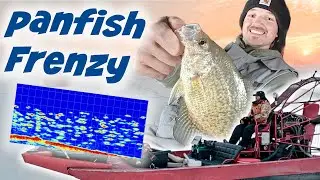 We Found the Panfish... Mississippi River Ice Fishing