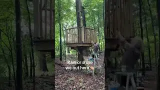 Follow along as I build my boys a DIY treehouse! 😆 #diyhomeprojects #diytreehouse #treehouse