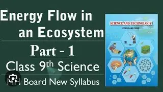 class 9 Energy flow in an Ecosystem |@EduHubAlearninghub