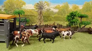 TORO/Stop motion/Bulls/Liberiamo i tori