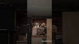 Basement Ghost #ghost #haunting #scary