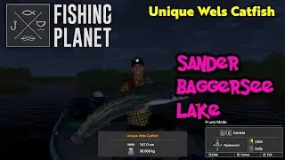 Unique Wels Catfish Sander Baggersee Lake - Fishing Planet