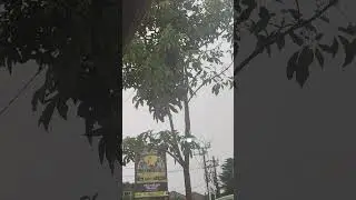 Rainfall Heavy Rain Sounds & Flowing Water #rain #rainsounds #heavyraining #weather #relaxation