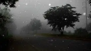 Você está numa floresta vazia só com seu nokia - Ambience Music