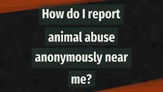 How do I report animal abuse anonymously near me?