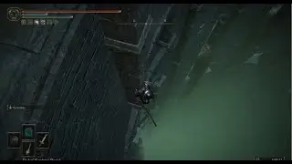 [ELDEN RING] Subterranean Shunning Grounds Elevator Jump